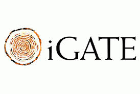 IGate
